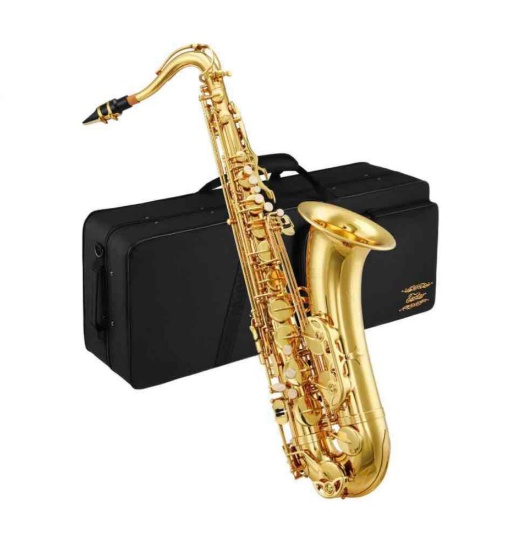 Eastar Student Alto Saxophone