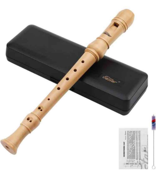 Eastar Soprano Recorder Instrument