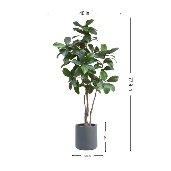 Faux 6.5? Magnolia Tree