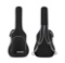 (2) Donner 41 Inch Acoustic Guitar Cases