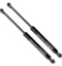 BOXI 2pcs Hatchback Lift Supports Gas Spring Struts