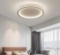 19 Inch Flush Mount Ceiling Light