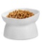 Plastic Cat Bowl