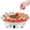 Electric Fondue Pot