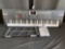 Hricane Kids Piano 61 Keys Electronic Keyboard