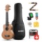Donner Concert Ukulele Beginner Kit 23 inch Mahogany Wood