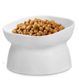 Plastic Cat Bowl