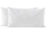21In X 14In Pair Of Pillows