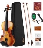 Eastar 4/4 Violin Set Full Size Fiddle Solidwood