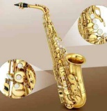 Eastar E Flat Gold Lacquer Student Beginner Saxophone