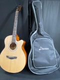 Donner Acoustic Guitar for Beginner