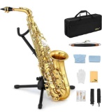 Eastar AS-? Student Saxophone E Flat Gold
