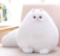 Winsterch Stuffed Animal Plushie Cat Stuffed