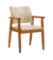 NOBPEINT Mid-Century Dining Side Chair