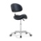 Saddle Stool Chair