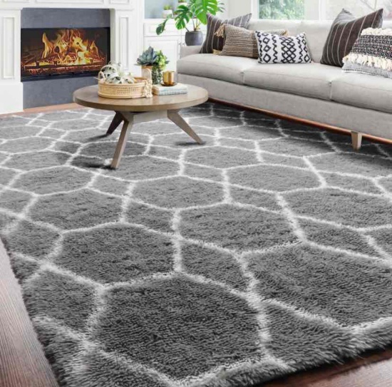 Large Area Rug for Living Room, 7x10