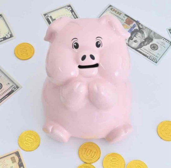 Ceramic Piggy Bank for Adults Must Break to Open,Girls Piggy Bank for Boys,Money Box for Cash