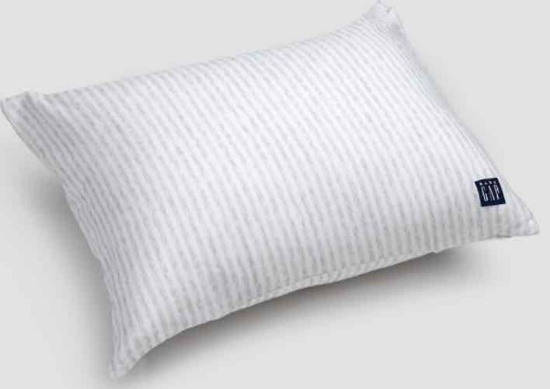 babyGap Toddler Pillow with 2 Cooling Covers