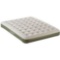 Coleman Coleman Queen Single High Airbed
