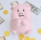 Ceramic Piggy Bank for Adults Must Break to Open,Girls Piggy Bank for Boys,Money Box for Cash