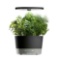AeroGarden Harvest 360, Black with Gourmet Herbs Seed Kit