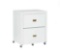 Linon Peggy White Gold File Cabinet