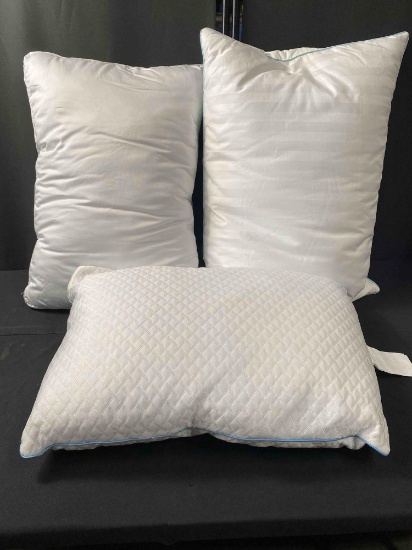 3 Pack Pillows Differents