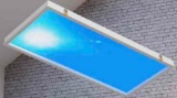 Aidenkid Blue Sky Light Ceiling Lamp