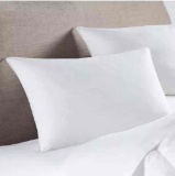 Downlite European Down Pillow Standard / Queen 20