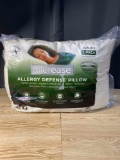 Jumbo 2 packs pillow