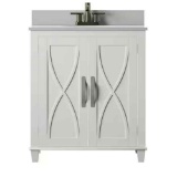 Twin Star Home 30 in. W x 20 in. D Bath Vanity in White with Vanity Top in White with White Basin