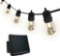 Sunforce Solar String Light