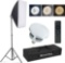 Softbox Lighting Kit