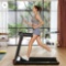 Kingsmith WalkingPad Pro Folding Treadmill