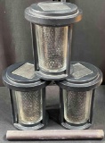 3 Solar Path Lights