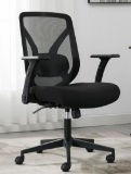 Ture Innovations Mesh Chair Item 1752897