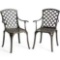 Clihome 2 Aluminum Frame Stationary Dining Chair with Woven Seat