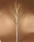 Twinkle Star Lighted Birch Tree