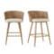 Nice Rattan Armrest Counter Stool Set Of 2