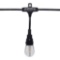 Honeywell 24' LED Plug-in String Lights With 12 Bulbs