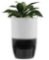 dupray bloom air purifier