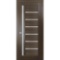 Quadro Frosted Glass Paneled Solid Manufactured Wood Standard Brown Door 28in x 80in