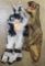 Las Vegas Raiders Inflatable Mascot and Inflatable T-Rex Costume