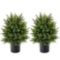 Costway 22 in. Artificial Cedar Topiary Ball Tree 2-Pack