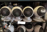 Lot Of Woozoo Mini Fans
