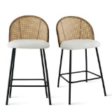 Jules Set of 2 Mesh Rattan Backrest Counter Stools with Back