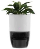 dupray bloom air purifier