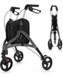 3 Wheel Rolling Walker