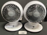 2 Pack of WOOZOO Globe Fan...