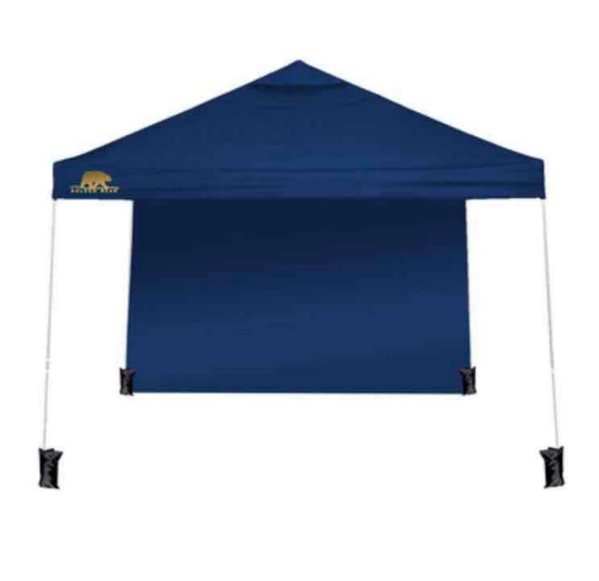 Golden Bear Newport 10'x10' Straight-Leg Canopy